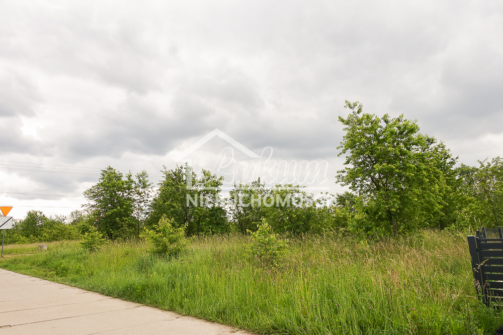 Działka budowlana 783 m², Dobra - zdjęcie 15