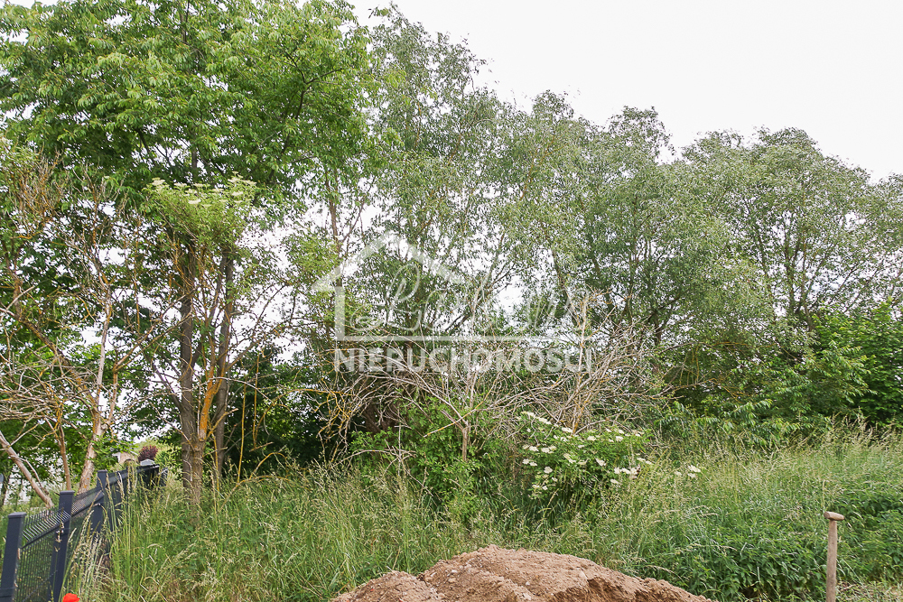Działka budowlana 796 m², Dobra - zdjęcie 12