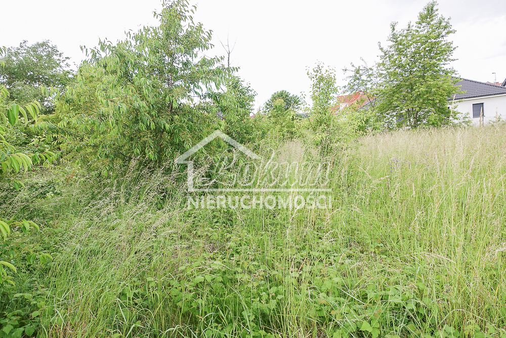 Działka budowlana 796 m², Dobra - zdjęcie 7