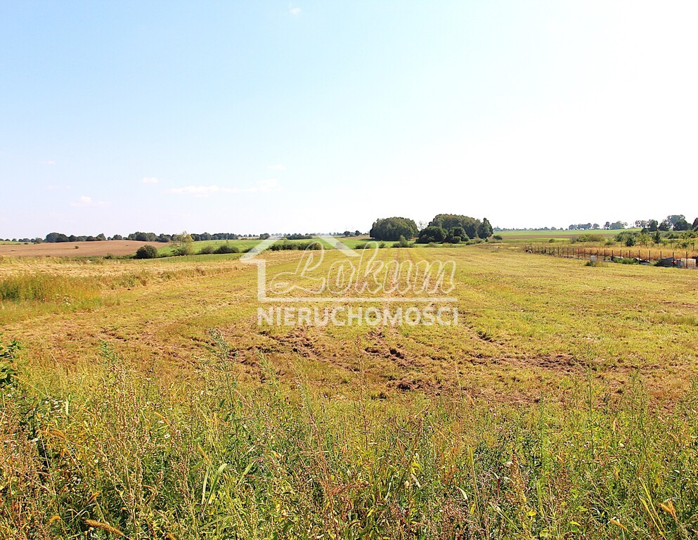 Działka budowlana 1001 m², Gleźno - zdjęcie 1