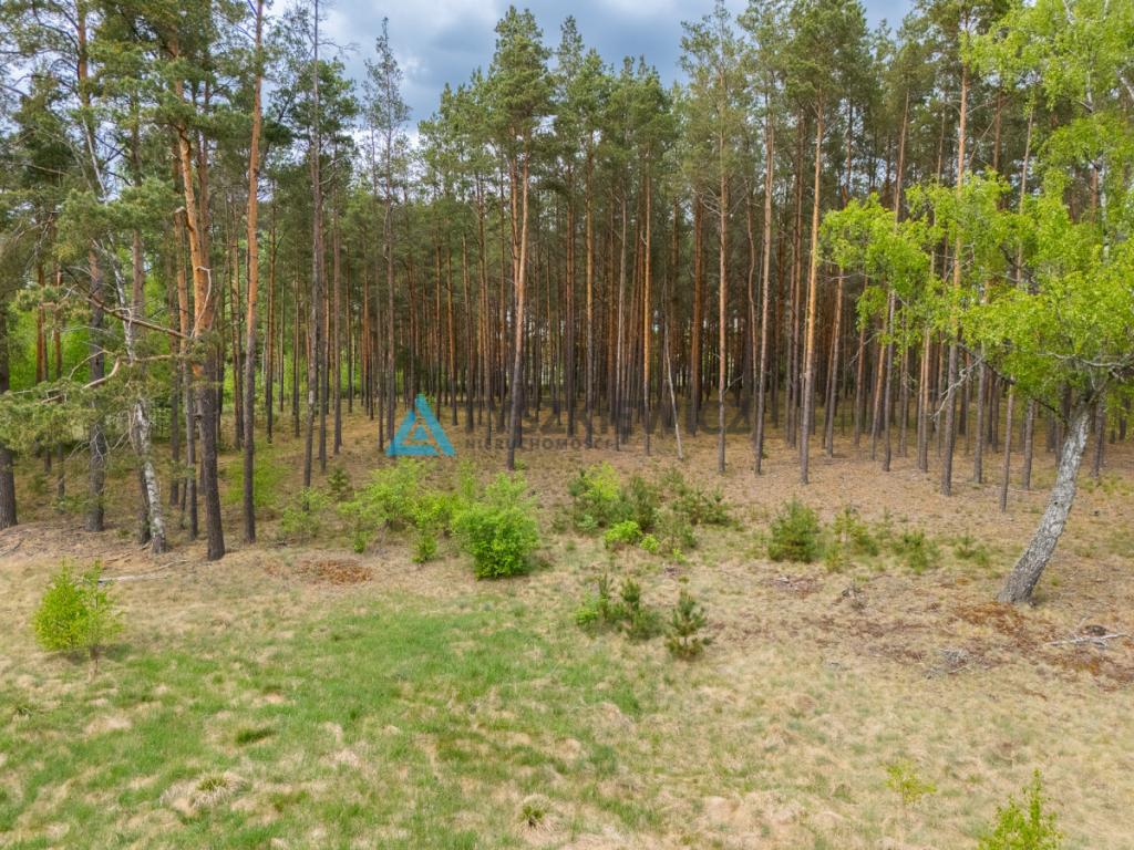 Wyjątkowe działki w Czersku - zdjęcie 14
