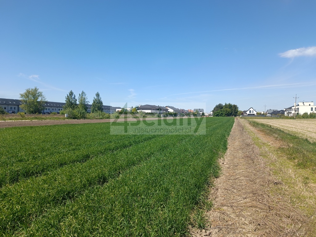 Działka budowlana 1154 m², Zgorzała - zdjęcie 3