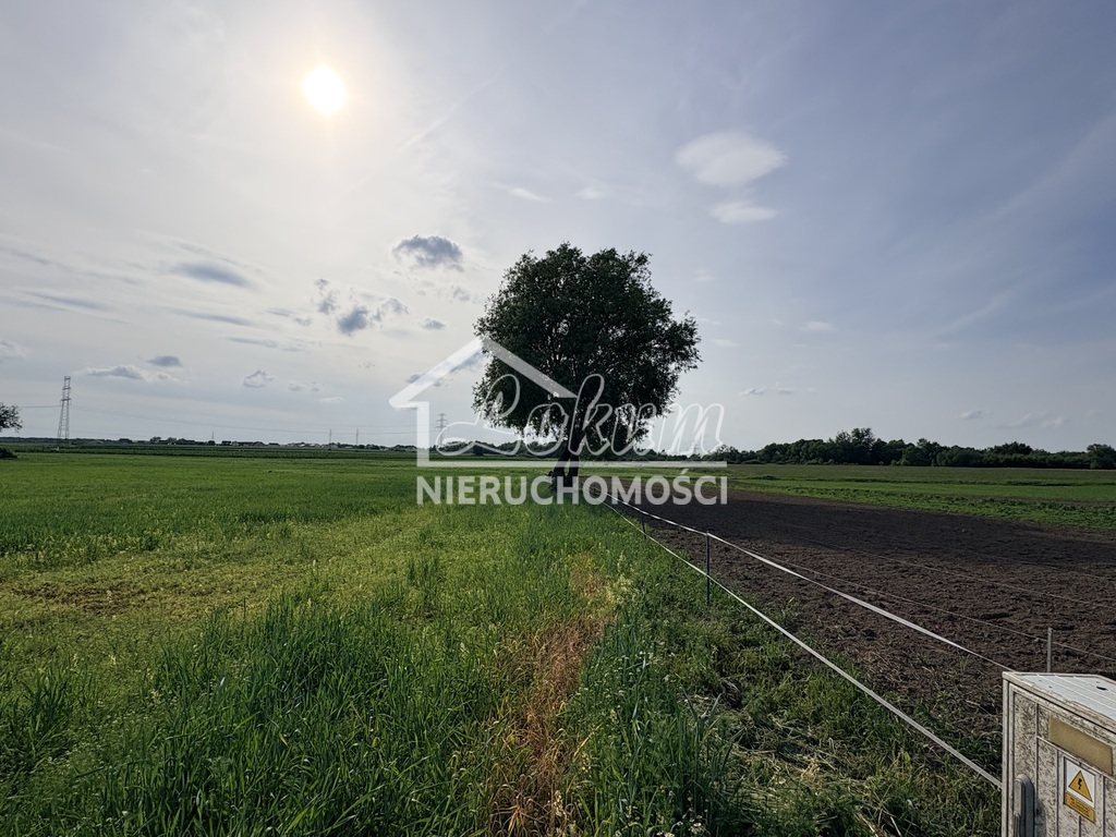 Działka budowlana 4606 m², Przęsocin - zdjęcie 3
