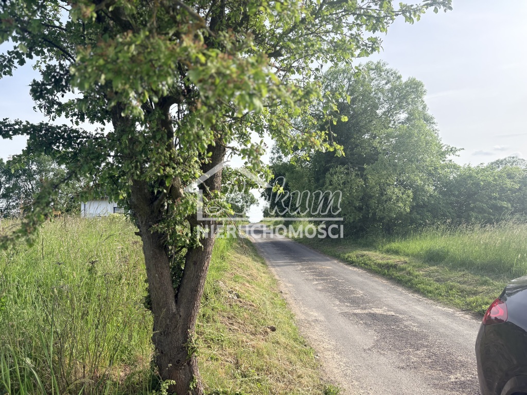 Działka budowlana 4606 m², Przęsocin - zdjęcie 1