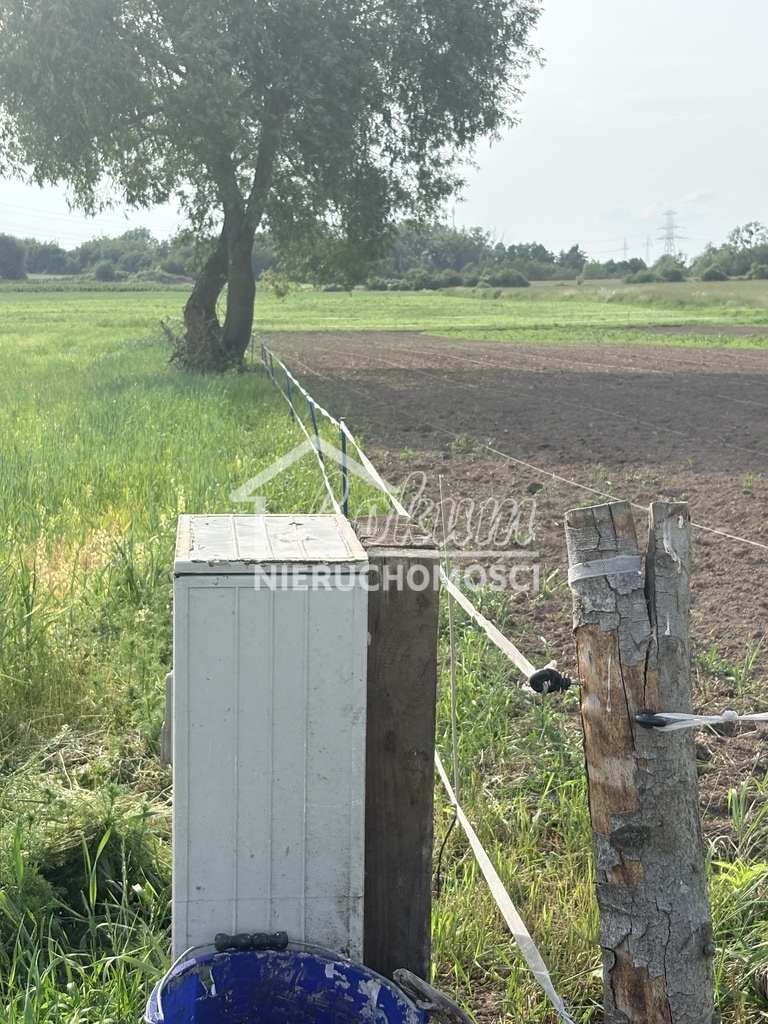 Działka budowlana 4606 m², Przęsocin - zdjęcie 2
