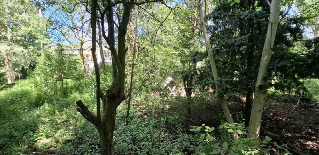 Działka inwestycyjna 598 m², Sosnowiec, Przygraniczna - zdjęcie 4