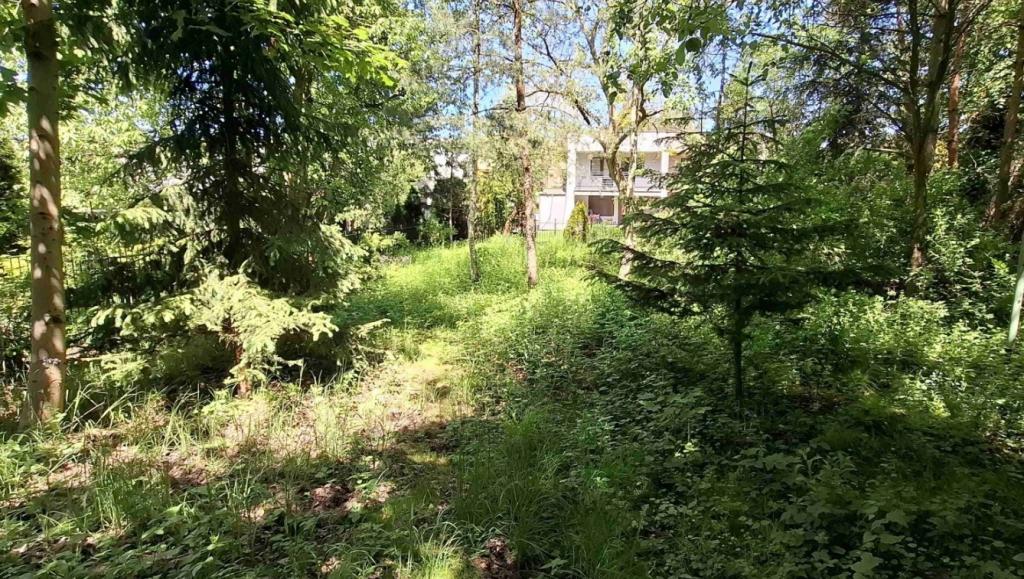 Działka inwestycyjna 598 m², Sosnowiec, Przygraniczna - zdjęcie 3