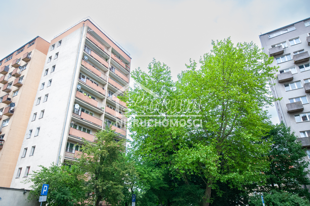 Mieszkanie 20&nbsp;m², Szczecin, Centrum, al. Wyzwolenia - zdjęcie 12