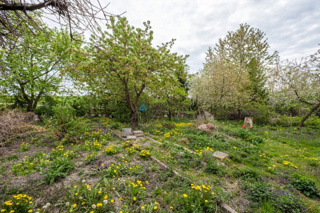 Nieruchomość inwestycyjna 1,7ha - Gniew - zdjęcie 14