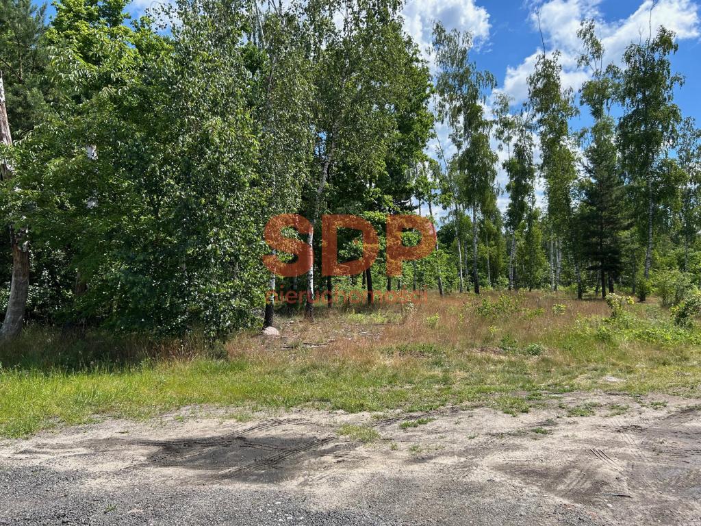 Działka inwestycyjna 1,88&nbsp;ha, Łódź, Denna - zdjęcie 3