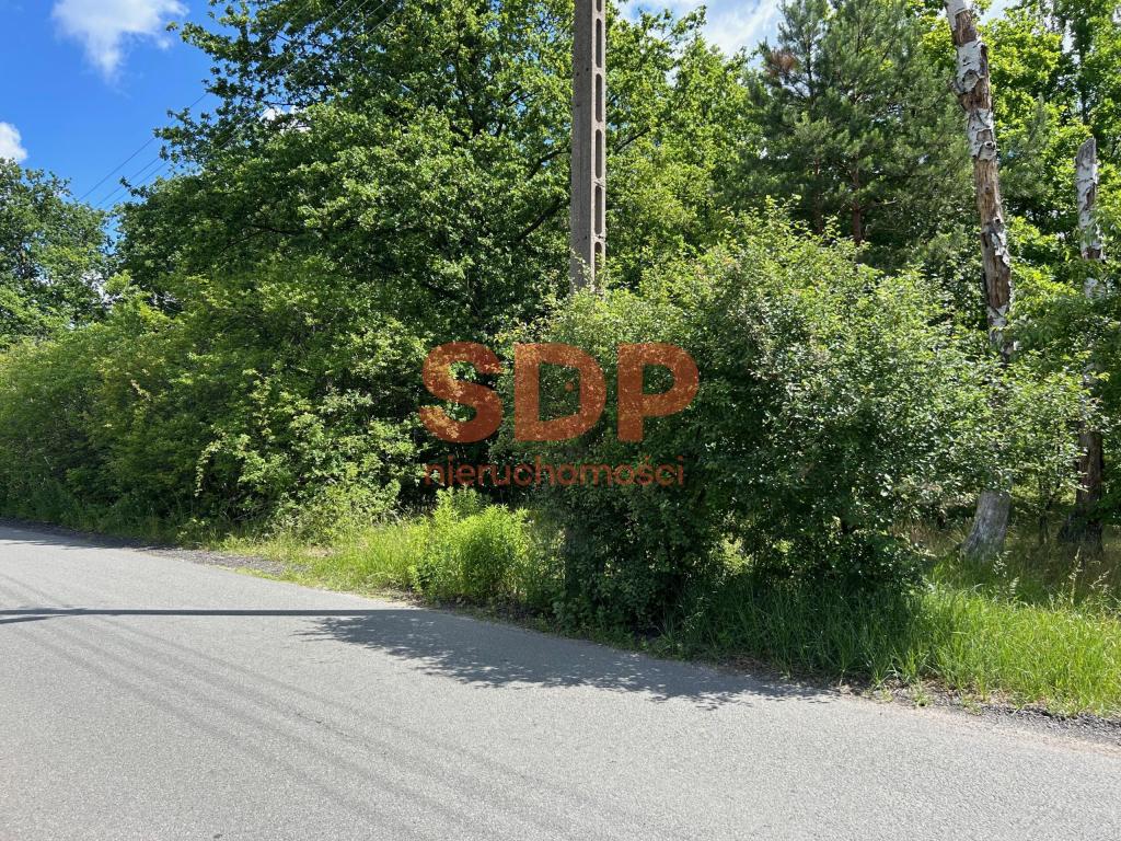 Działka inwestycyjna 1,88&nbsp;ha, Łódź, Denna - zdjęcie 1