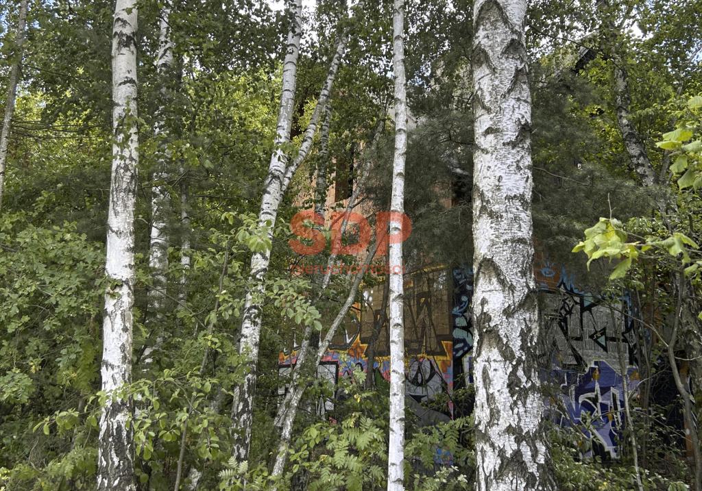 Działka inwestycyjna 1,88&nbsp;ha, Łódź, Denna - zdjęcie 10