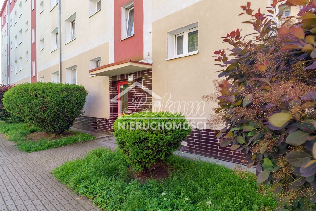 Mieszkanie 32 m², Szczecin, Zawadzkiego-Klonowica, Sebastiana Klonowica - zdjęcie 15