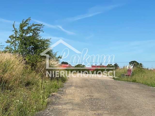 Działka budowlana 1350 m², Mierzyn - zdjęcie 13