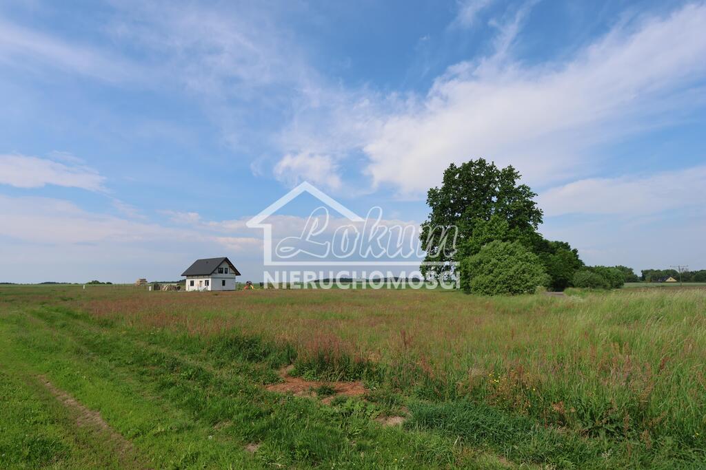 Działka rolna 948&nbsp;m², Kościuszki - zdjęcie 4