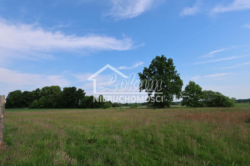 Działka rolna 948&nbsp;m², Kościuszki - zdjęcie 3