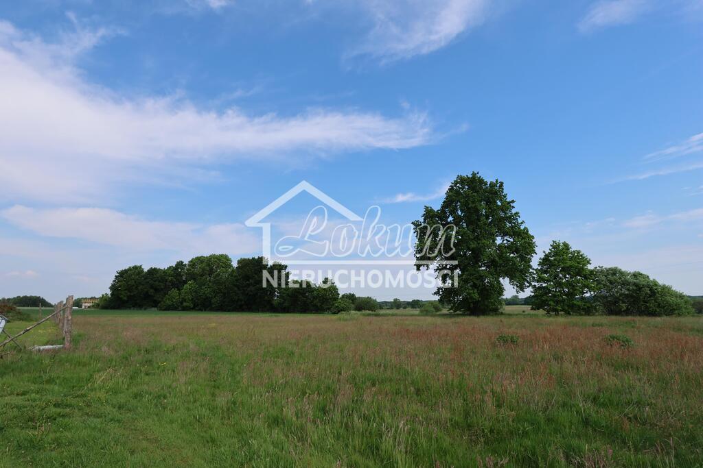 Działka rolna 948&nbsp;m², Kościuszki - zdjęcie 1