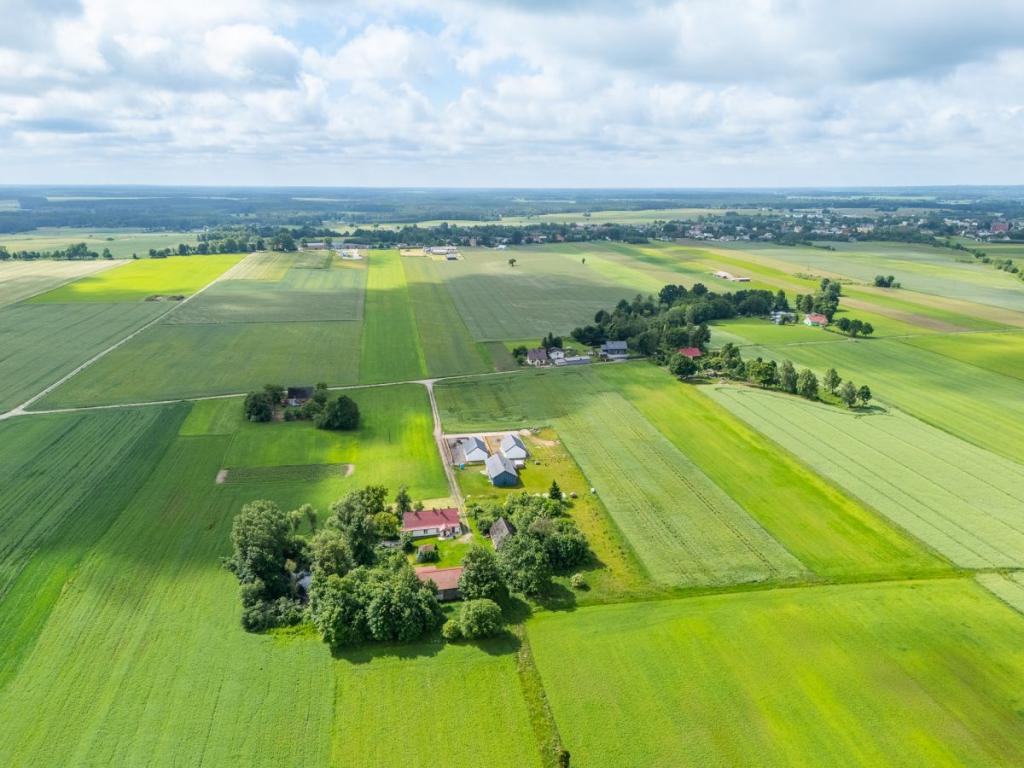 Nowy dom parterowy / stan deweloperski - zdjęcie 15