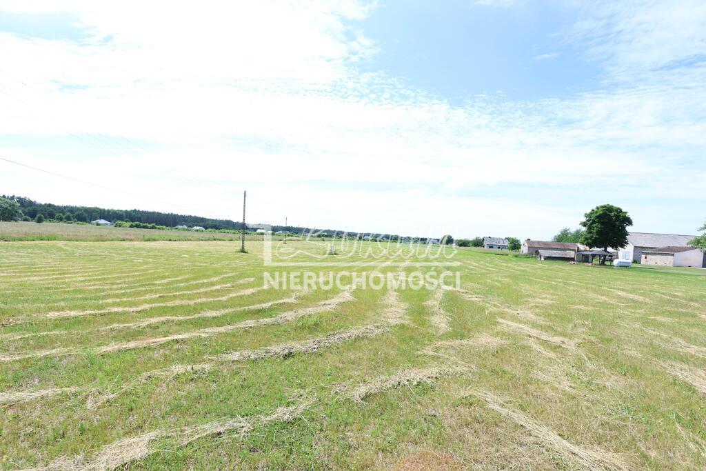 Działka rolna 1591&nbsp;m², Żdżary - zdjęcie 4