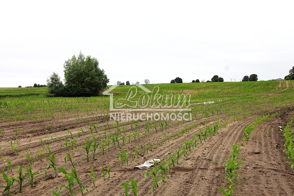 Działka rolna 3,09&nbsp;ha, Gleźno - zdjęcie 7