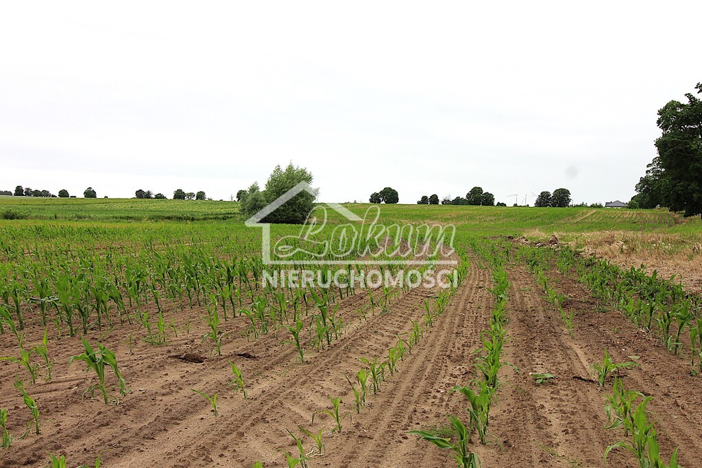 Działka rolna 3,09&nbsp;ha, Gleźno - zdjęcie 6