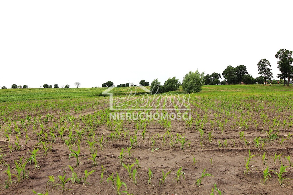Działka rolna 3,09&nbsp;ha, Gleźno - zdjęcie 5