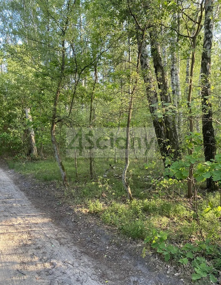 Działka budowlana 2605 m², Marynin - zdjęcie 1