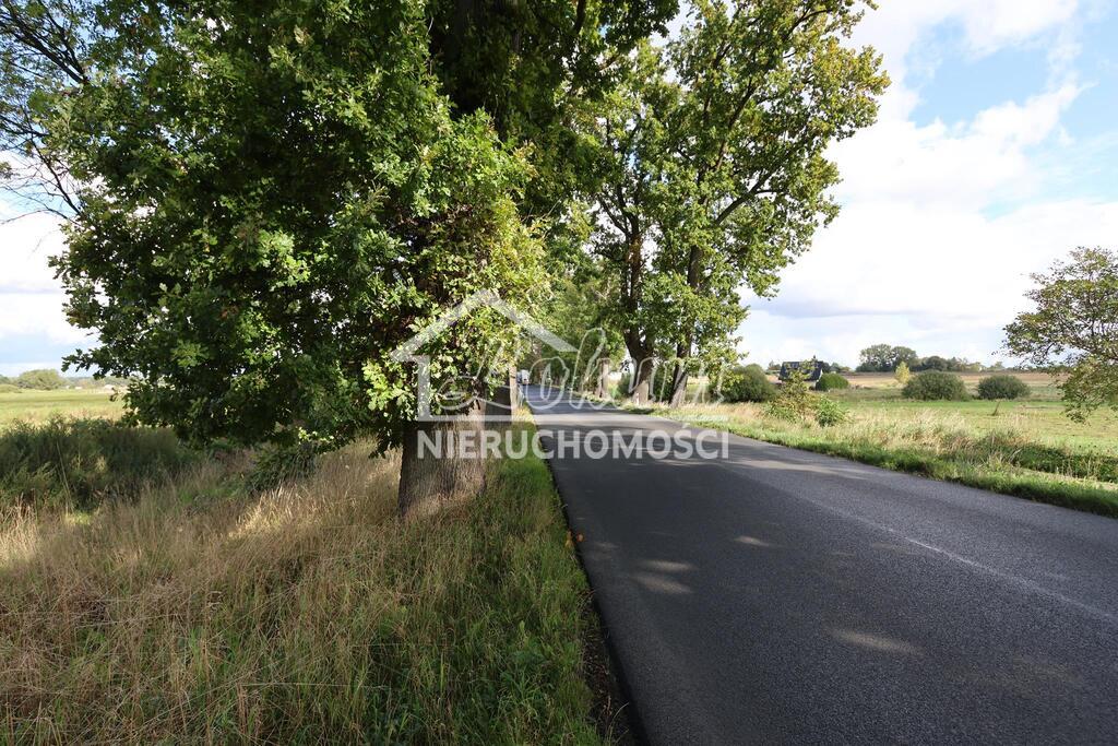 Działka budowlana 1105 m², Dębice - zdjęcie 5