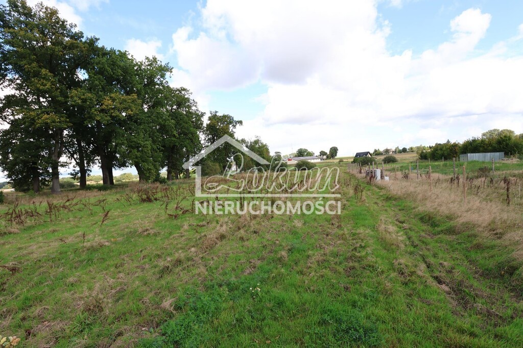 Działka budowlana 955 m², Dębice - zdjęcie 5
