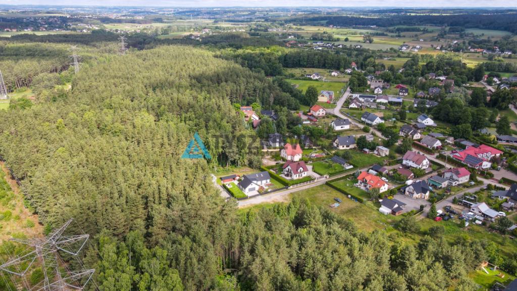 Dom przy lesie, garaż na 2 auta, piękny ogród - zdjęcie 29