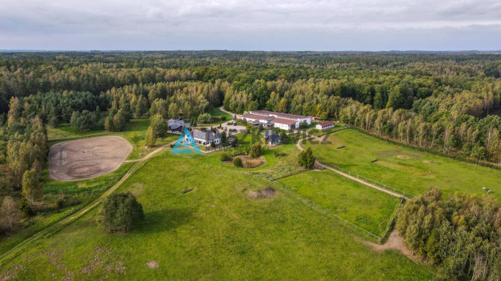 Ośrodek - Stadnina, domki, hotel i restauracja - zdjęcie 3