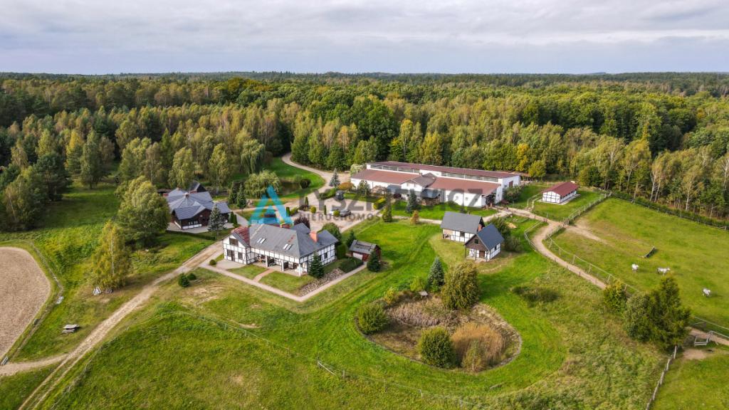 Ośrodek - Stadnina, domki, hotel i restauracja - zdjęcie 4