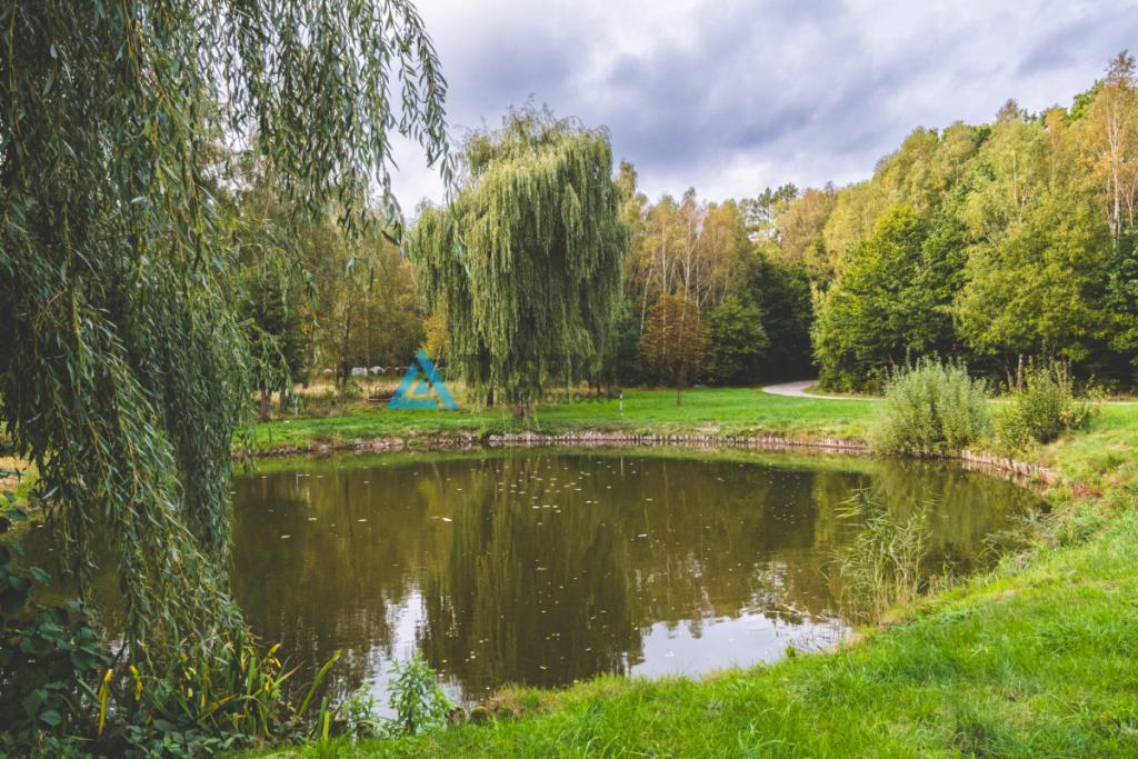 Ośrodek - Stadnina, domki, hotel i restauracja - zdjęcie 13