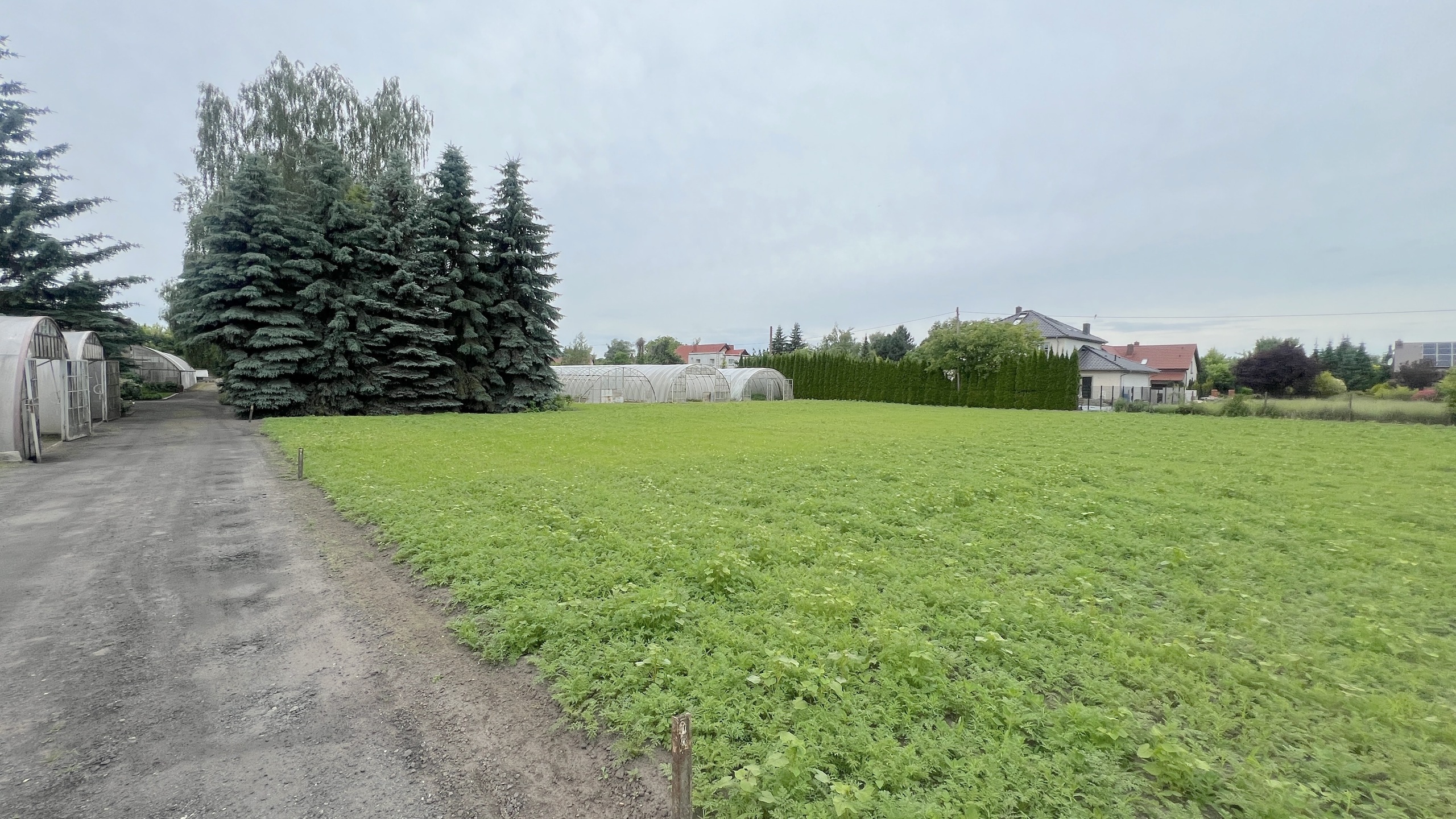 Poznań Szczepankowo | 1,1 ha | WZ na 15 lokali mieszkalnych - zdjęcie 1