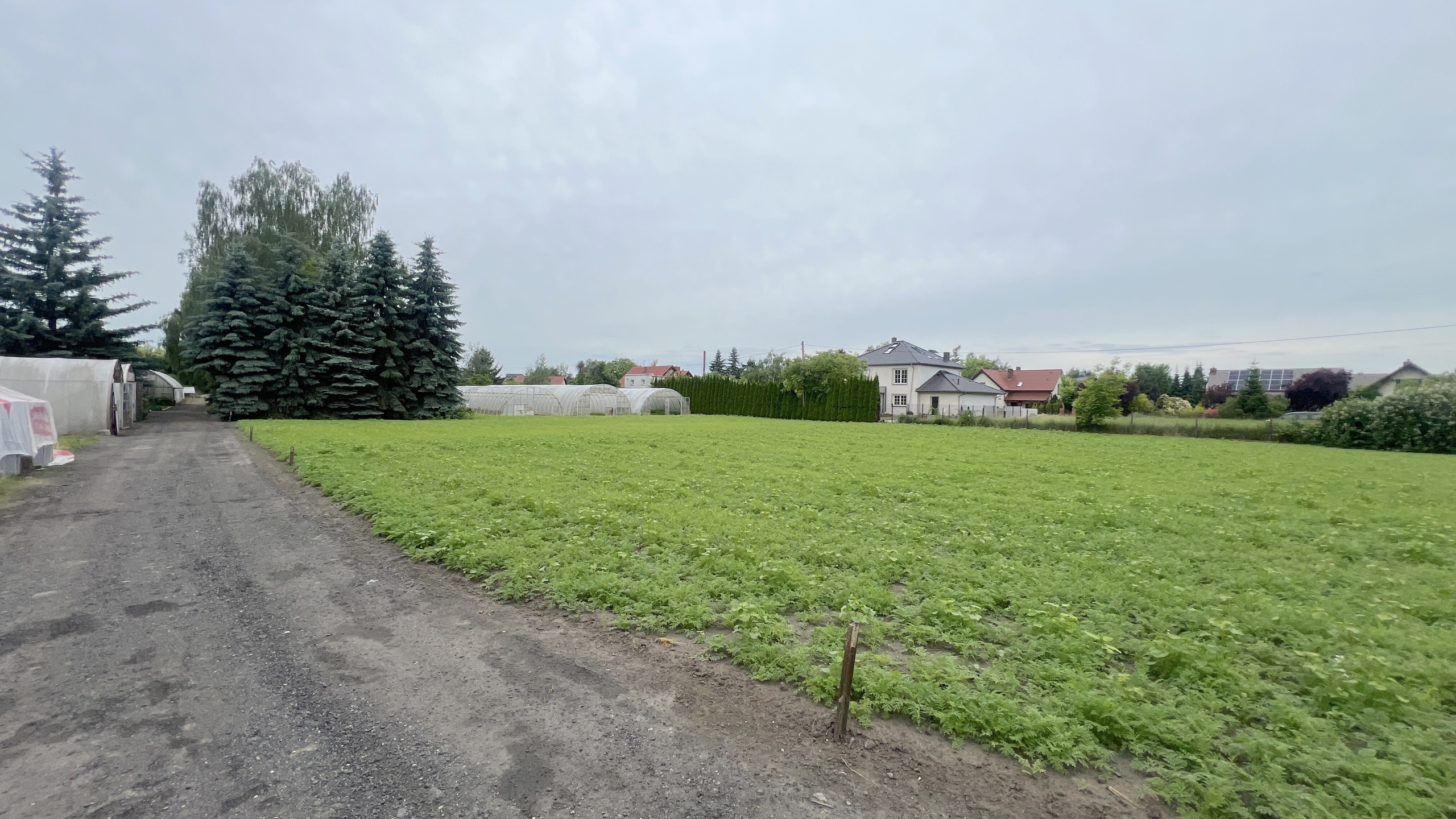 Poznań Szczepankowo | 1,1 ha | WZ na 15 lokali mieszkalnych - zdjęcie 3