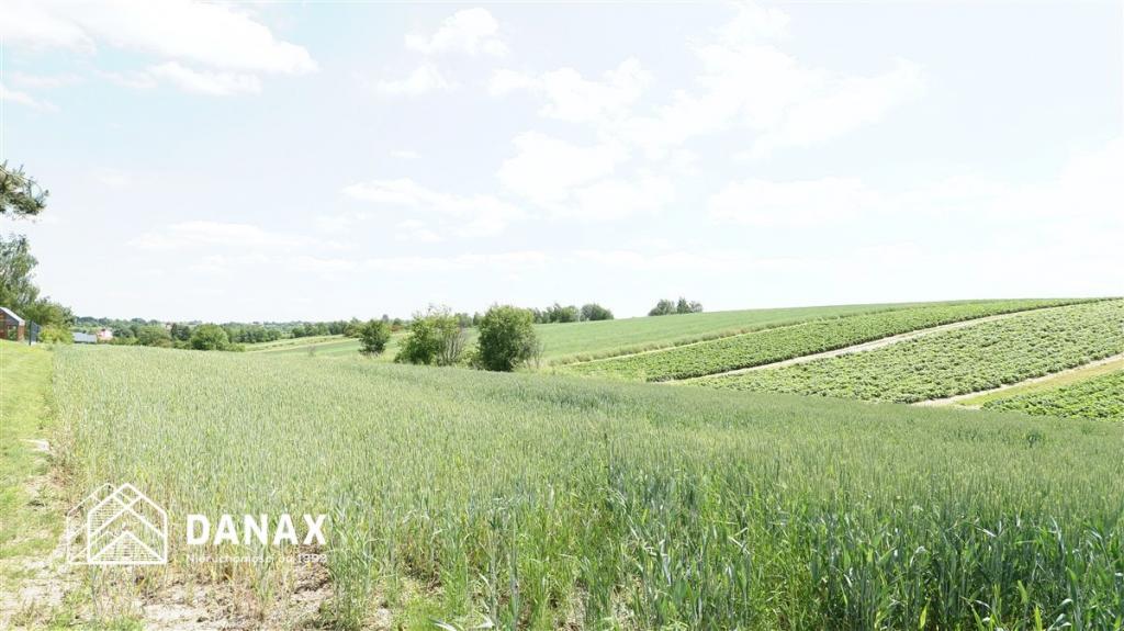 Działka budowlana 4300&nbsp;m², Cianowice - zdjęcie 1