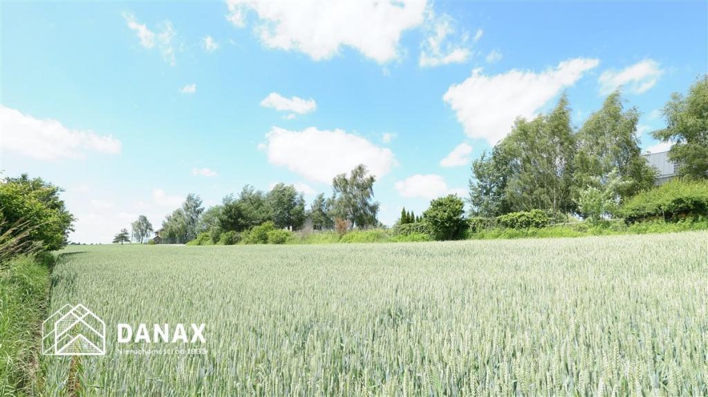 Działka budowlana 4300&nbsp;m², Cianowice - zdjęcie 5