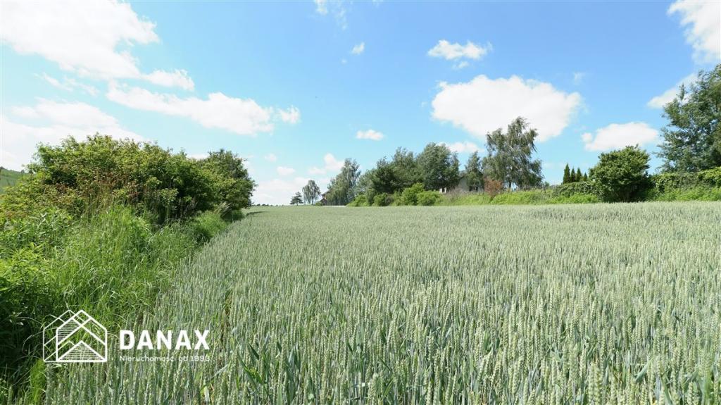 Działka budowlana 4300&nbsp;m², Cianowice - zdjęcie 6