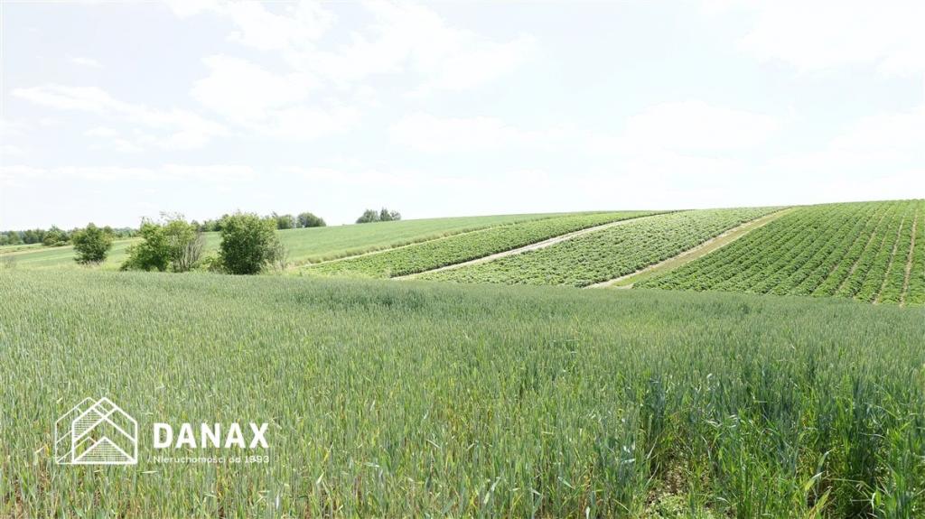 Działka budowlana 4300&nbsp;m², Cianowice - zdjęcie 2