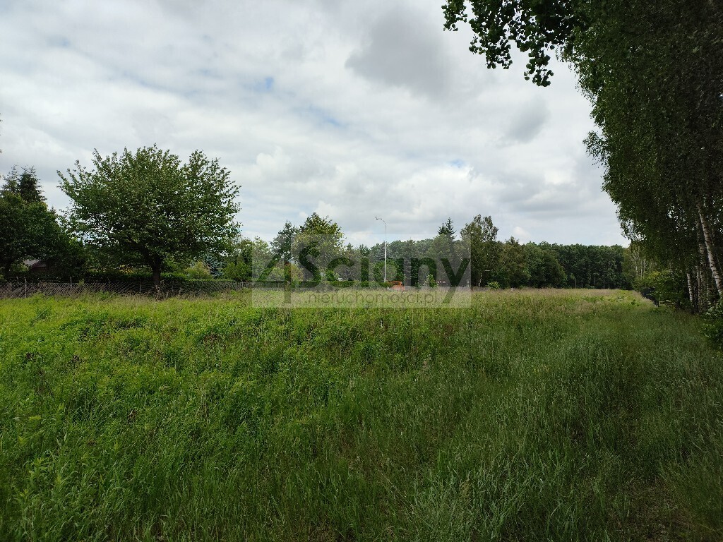 Działka budowlana 2365 m², Strzeniówka - zdjęcie 1