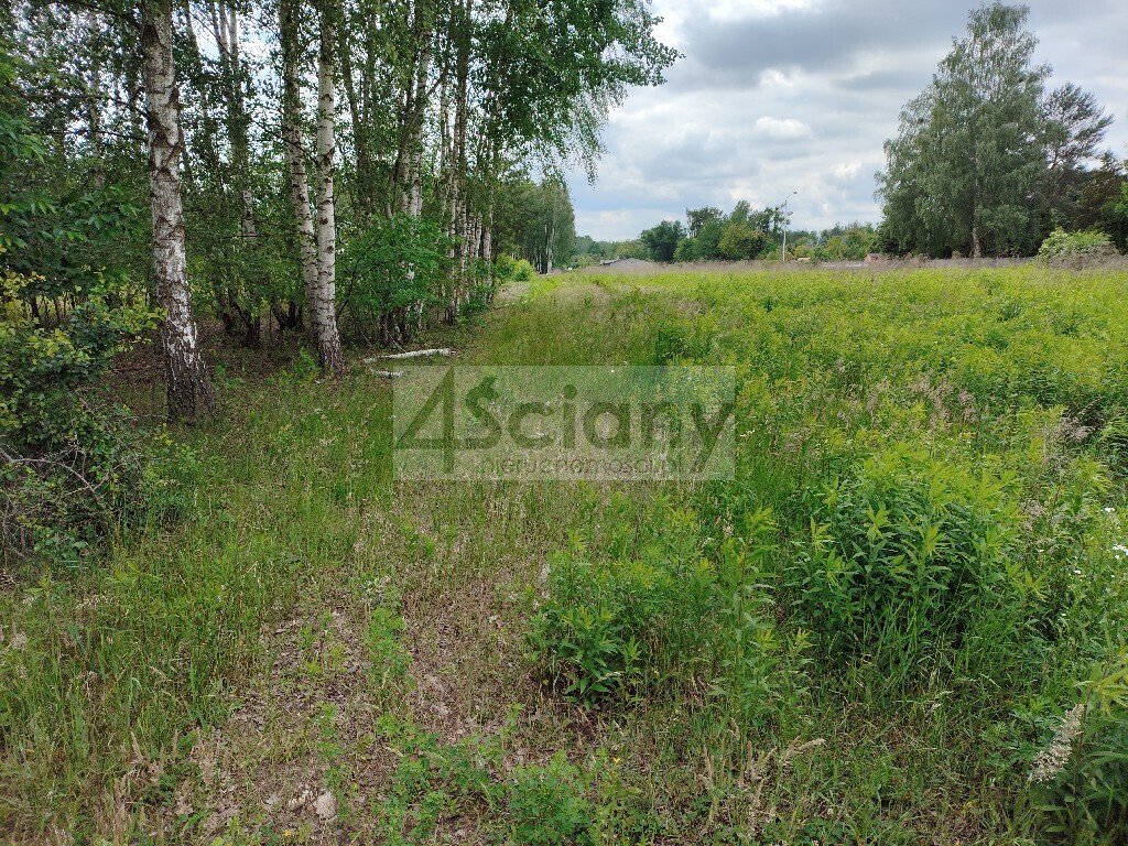 Działka budowlana 2365 m², Strzeniówka - zdjęcie 3