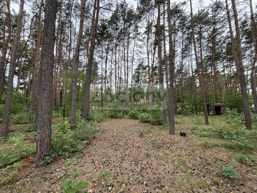 Działka budowlana 1789 m², Nowe Załubice - zdjęcie 1