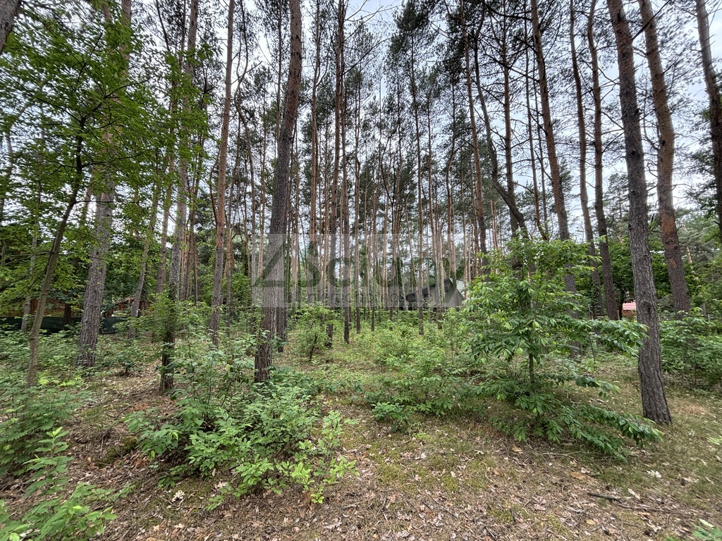 Działka budowlana 1789 m², Nowe Załubice - zdjęcie 4