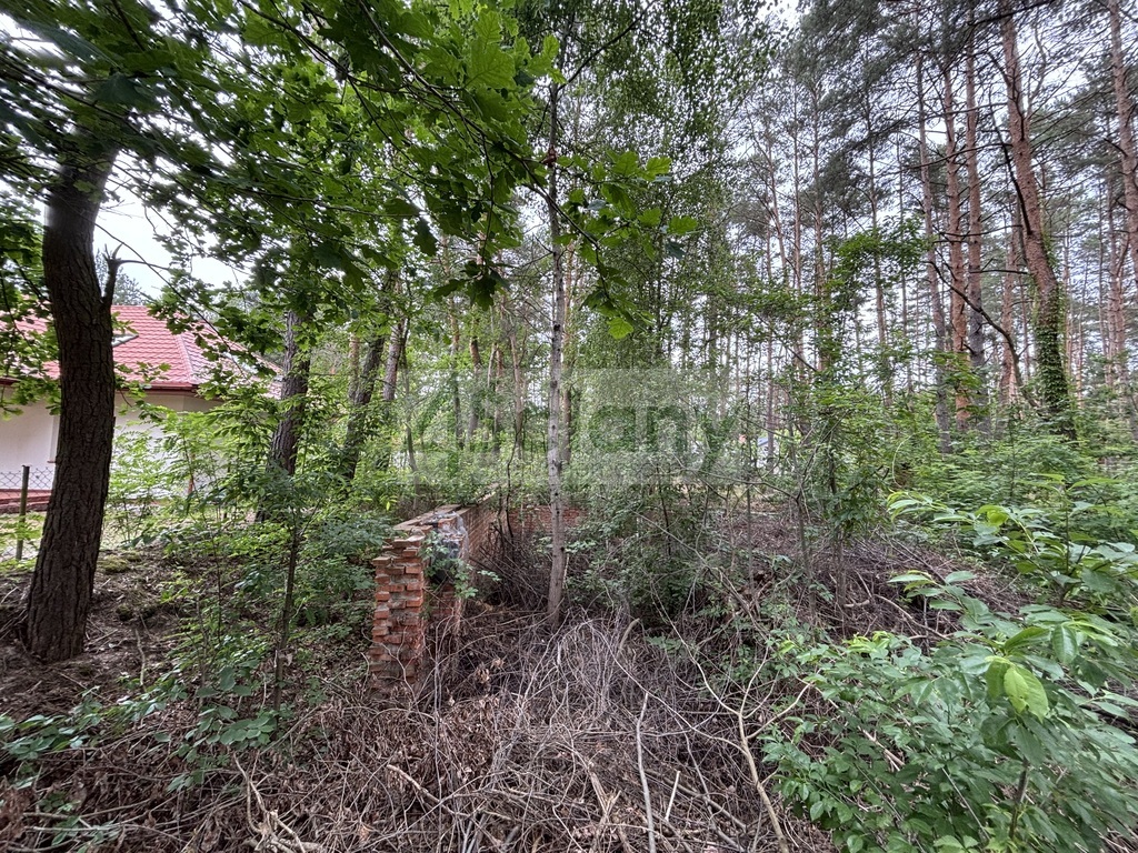 Działka budowlana 1789 m², Nowe Załubice - zdjęcie 6