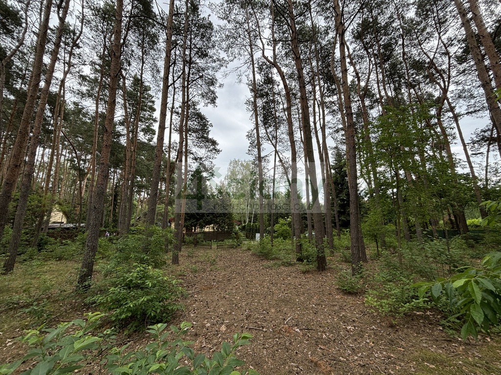 Działka budowlana 1789 m², Nowe Załubice - zdjęcie 7