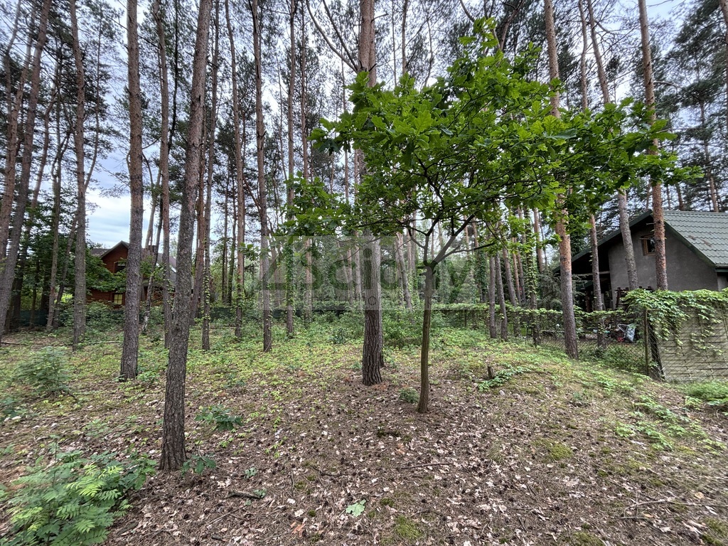 Działka budowlana 1789 m², Nowe Załubice - zdjęcie 5