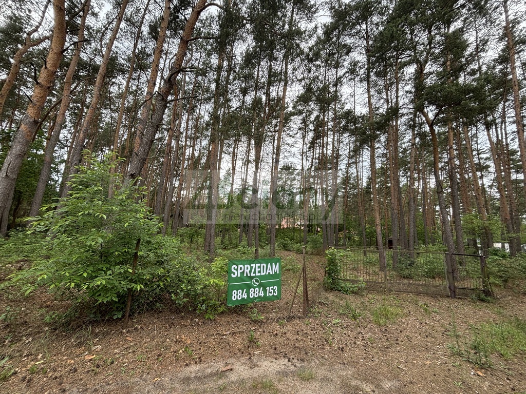 Działka budowlana 1789 m², Nowe Załubice - zdjęcie 3