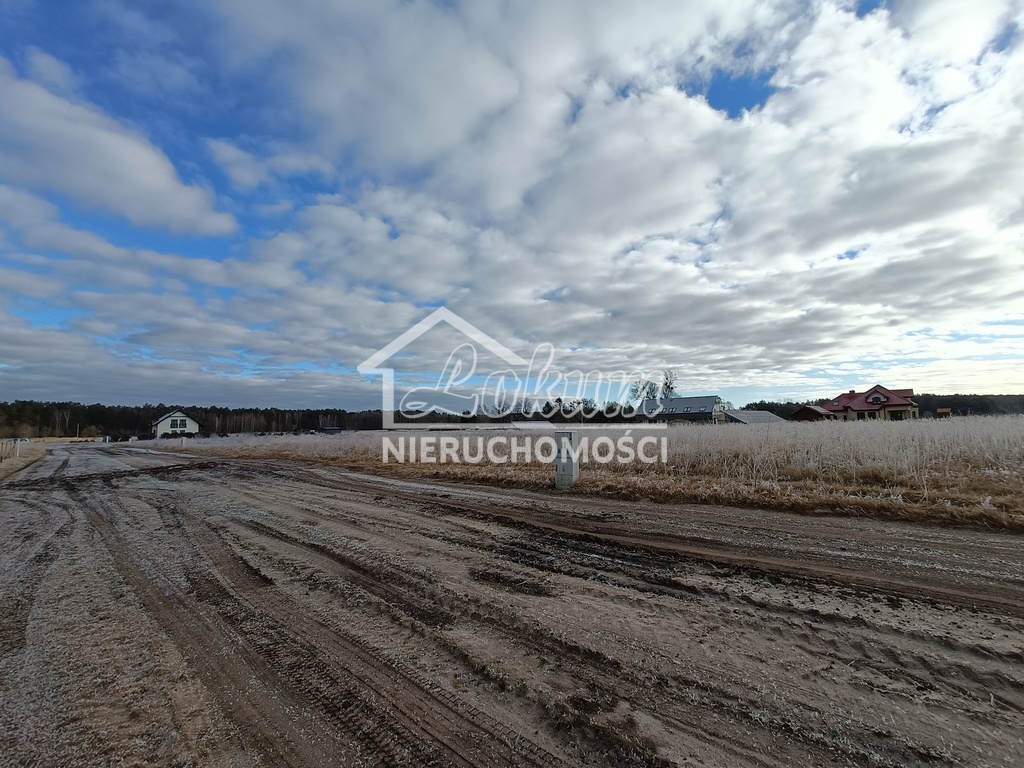 Działka budowlana 3000 m², Białuń - zdjęcie 3