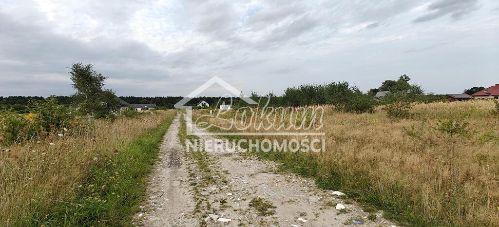 Działka budowlana 3000 m², Białuń - zdjęcie 8