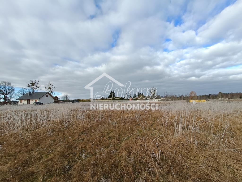 Działka budowlana 3000 m², Białuń - zdjęcie 7